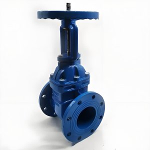 手動閘閥Z41T-16 DN50/DN65廠家直銷，上海發